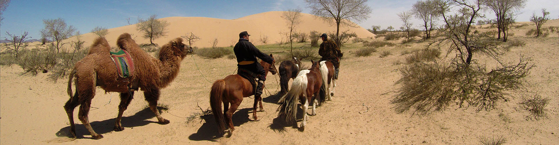 Mongolia on Horseback