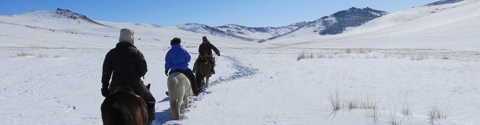 Mongolia on Horseback