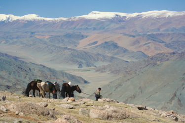 Mongolia on Horseback