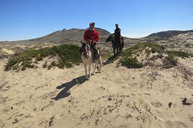 Mongolia on Horseback