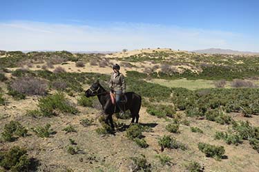 Mongolia on Horseback