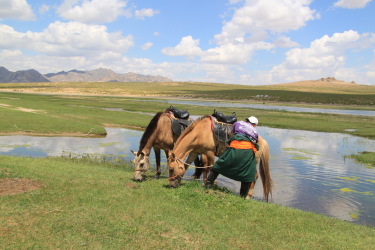 Mongolia on Horseback