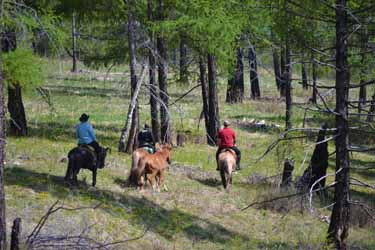 Mongolia on Horseback