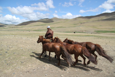 Mongolia on Horseback