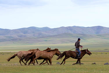 Mongolia on Horseback