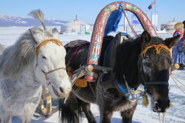 Mongolia on Horseback